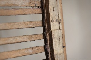 χειροποίητο βασιλικό διάφραγμα DIY queen excluder