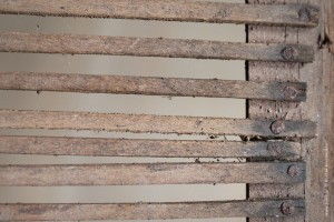 χειροποίητο βασιλικό διάφραγμα DIY queen excluder